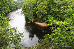 The River Findhorn - Upper Home Beat, at Logie