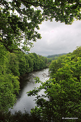 The River Findhorn - Upper Home Beat, at Logie