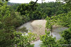 The River Findhorn - Upper Home Beat, at Logie