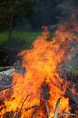 Flaming Hell! #2
