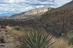 Mule Mountains