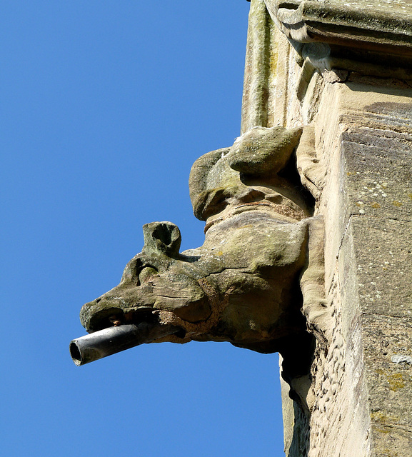 Gargoyle #2