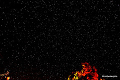 Starry starry night