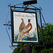 'The Charlecote Pheasant'