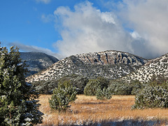 Huachuca Mountains