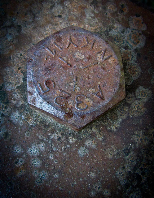 Rusty Bolt on Gorge Bridge