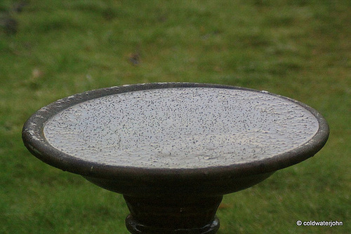 A cold and frosty morning