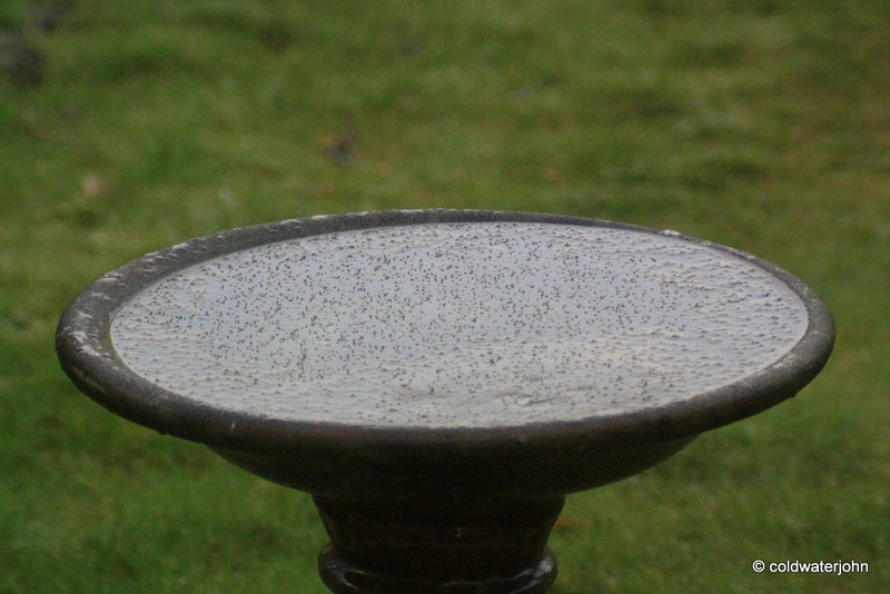 A cold and frosty morning