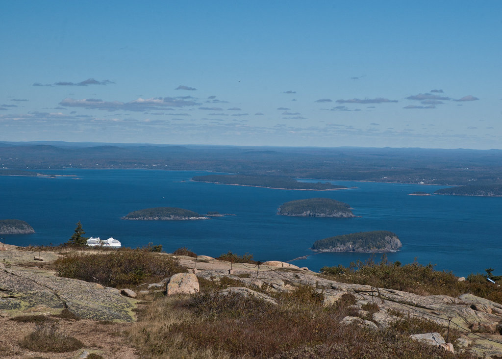 DSC_8463.jpg