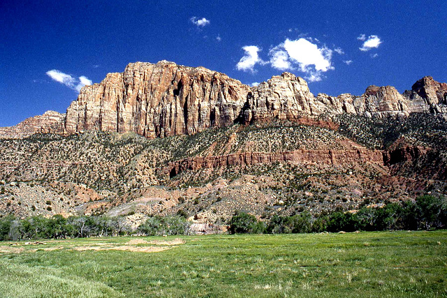 Zion National Park #5