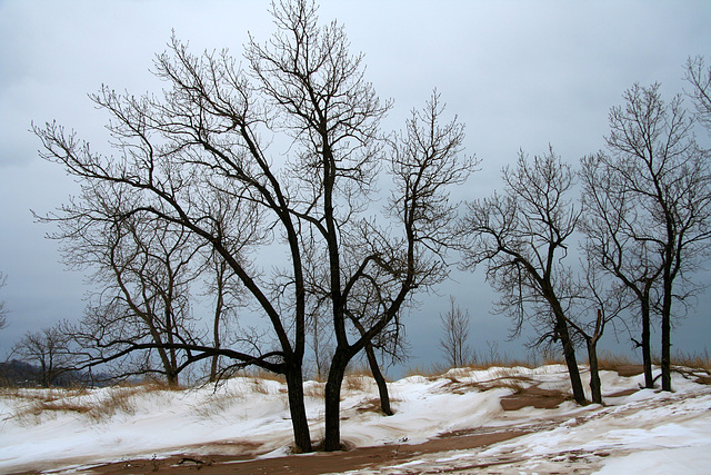 Winter Beach