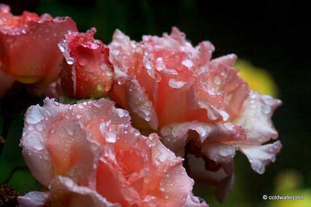 Rain, rain, go away...#3