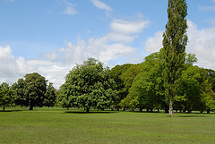 Phoenix Park, Dublin