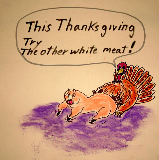 Tom Turkey Tells......