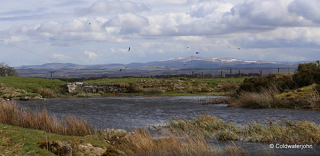 View from the base of Smailholm Tower