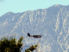 C-47 Flyover (1894)