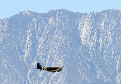 C-47 Flyover (1896)