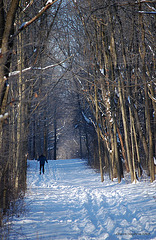 Cross Country Skiing