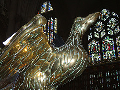 York Minster - Bird Lecturn