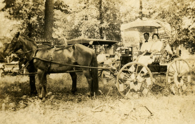 Flag-Bedecked Carriage