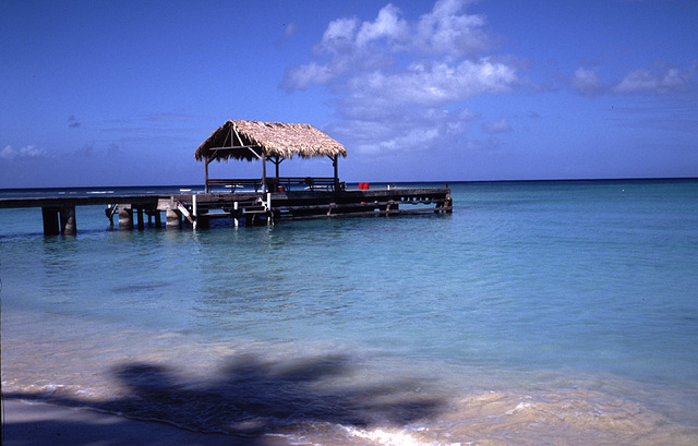 Tobago Pigeon Point 2