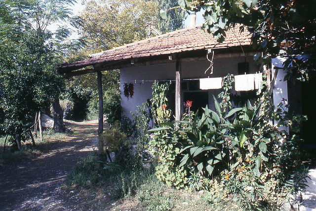 Village House