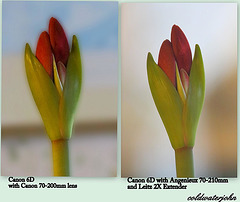 Comparing Canon 70-200mm f2.8 vs. Angeniuex 70-210mm f3.5