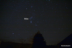 Orion