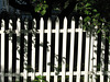 White Picket Fence