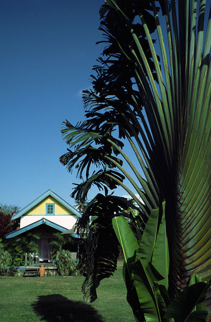 Tobago Lagoon Lodge 1