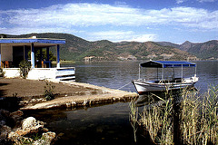 A Peaceful Morning on Lake Koycegiz
