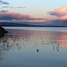 Eire - Dusk on Shannon Bay