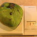 Howgate Wonder apple