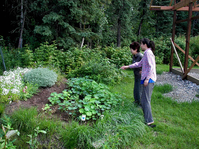 Japanese Gardeners