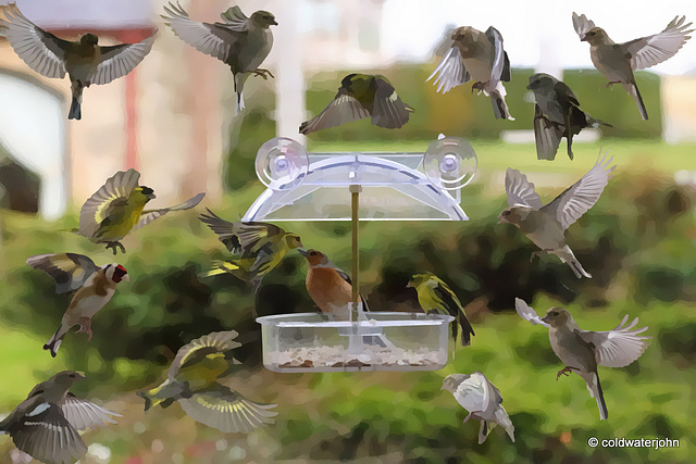 Visitors to the Courtyard Garden