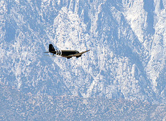 C-47 Flyover (1904)