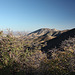 The Huachuca Mountains