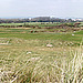 Littlehampton panorama