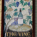'The Vine'