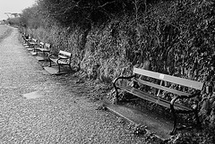 Memorial Benches 2