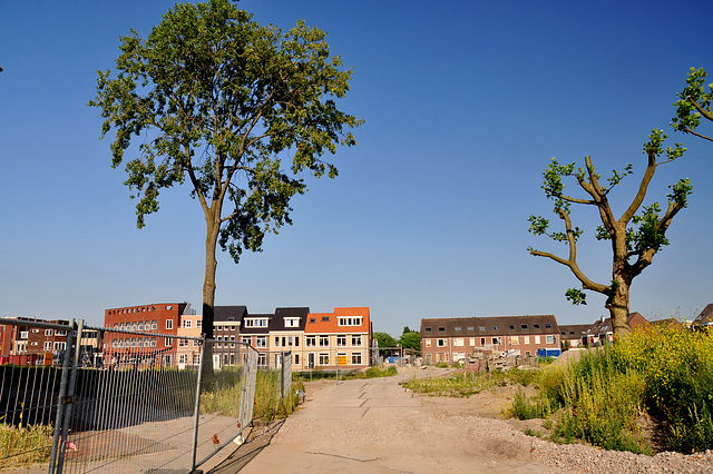 New neighbourhood in Leiden