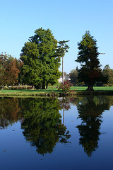 Parc de Chantilly