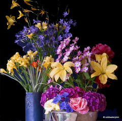 More vases please!