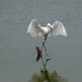 Walking on Water