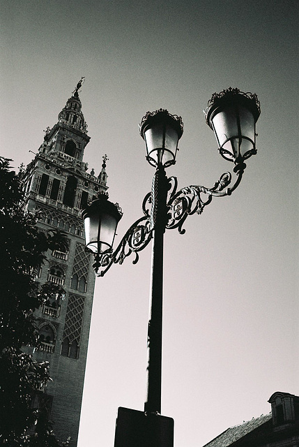 Seville La Giralda 1 M2