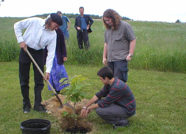 Planting the Class Tree #2