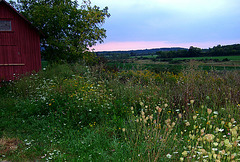 Dusk Approaching