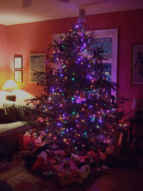 Christmas Tree, 2011