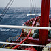 Out in the Southern Ocean