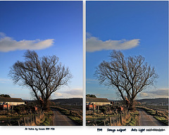 Take your pick Which do you prefer 5361421448 o